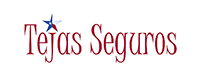 Tejas Logo